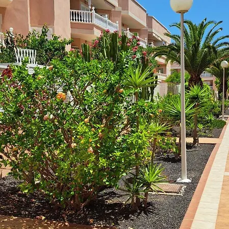 Apartment Casa Malika