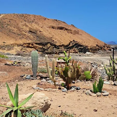 Casa Malika * Costa Del Silencio